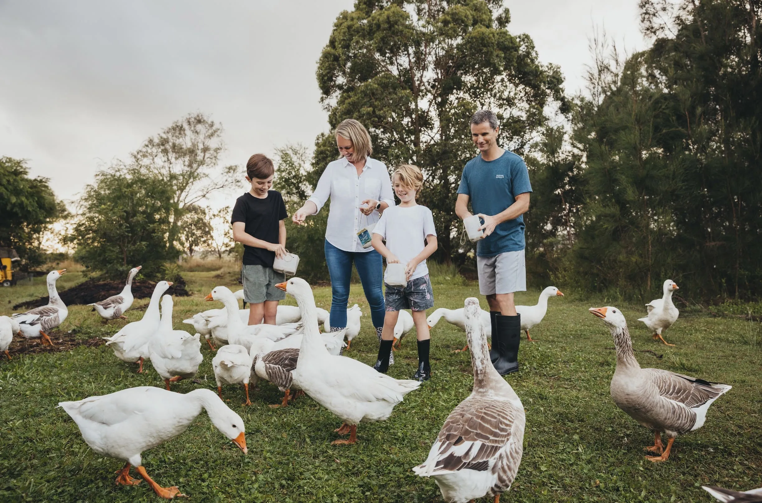 Delve into the Historical Morpeth in Hunter Valley