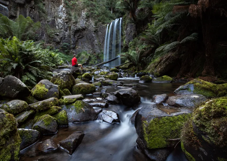 Discover the wonders of Great Otway National Park