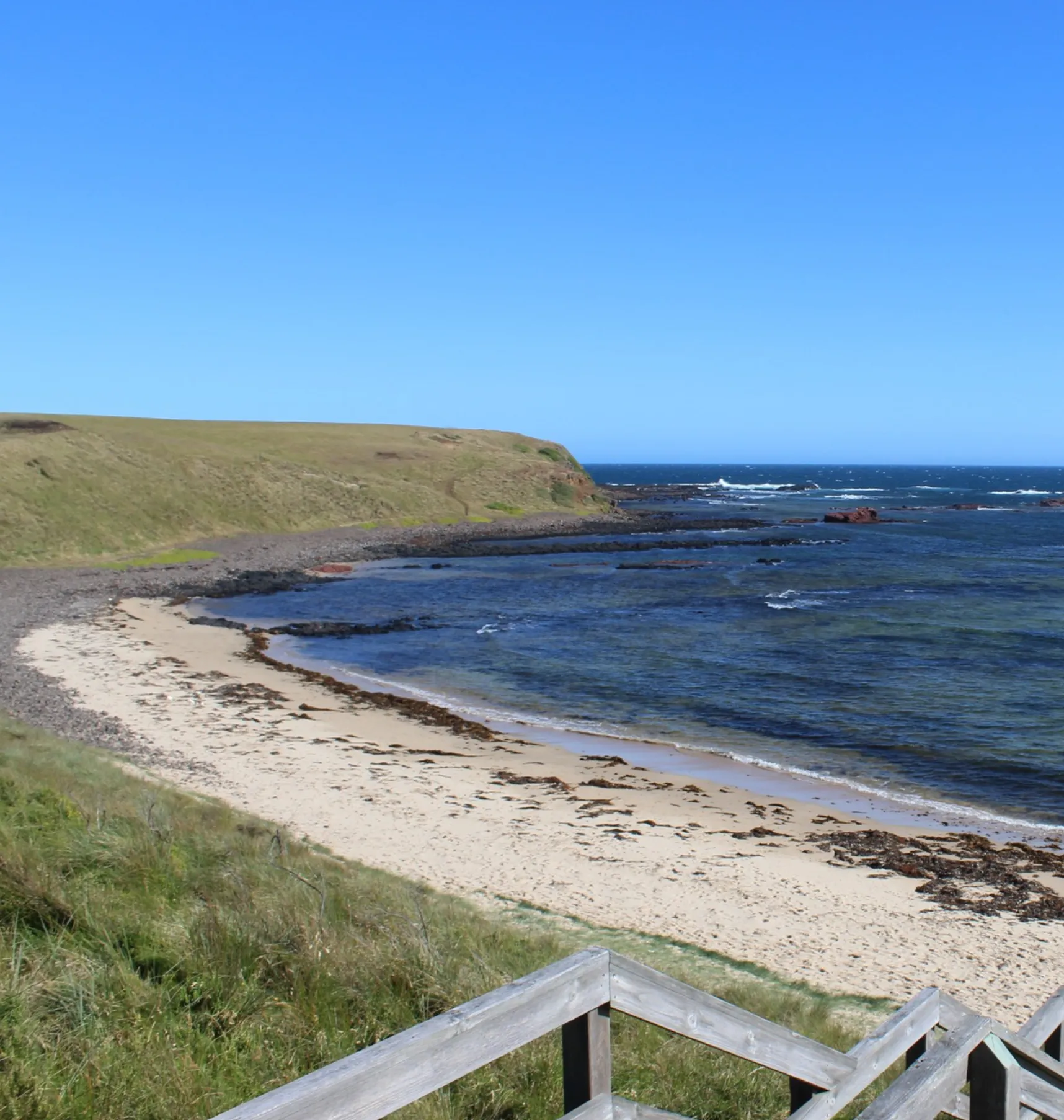 Discovering Miller Bay