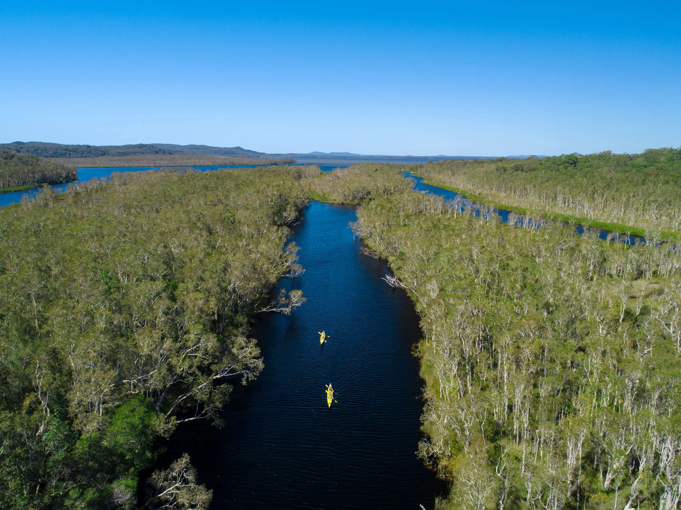 EXPLORE THE NOOSA EVERGLADES BY KAYAK