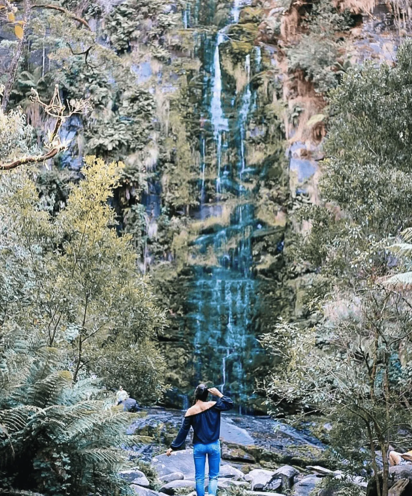 Erskine River Track