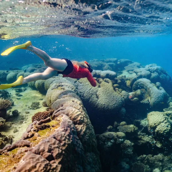 Exmouth Ningaloo Tourism 2