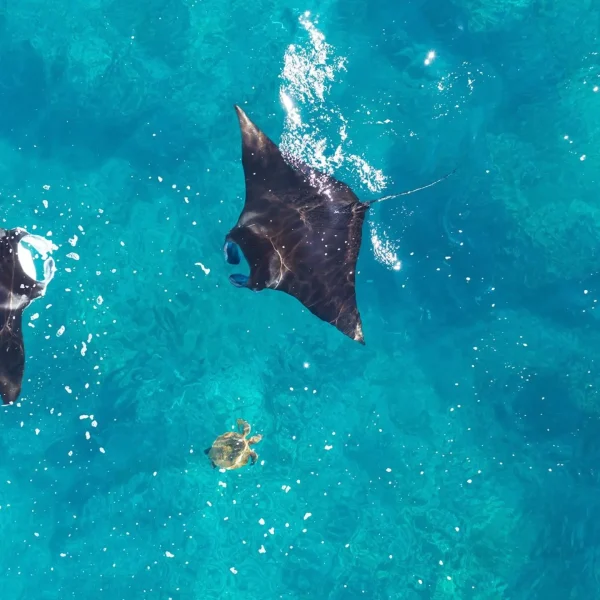 Exmouth Ningaloo Tourism