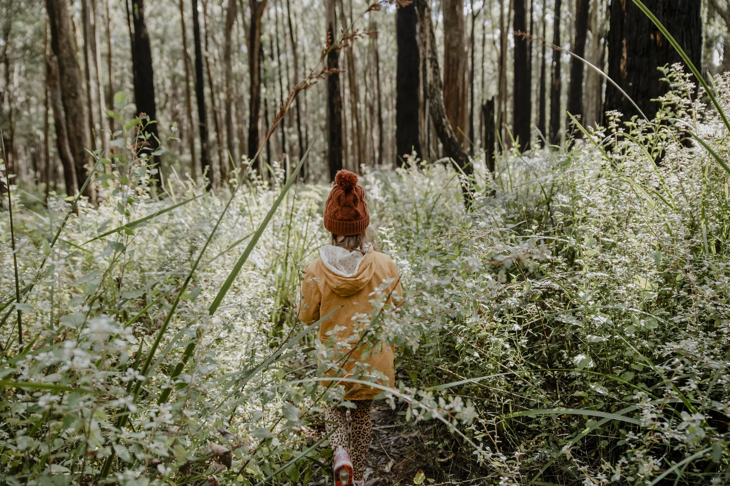 Explore a Culinary Forest