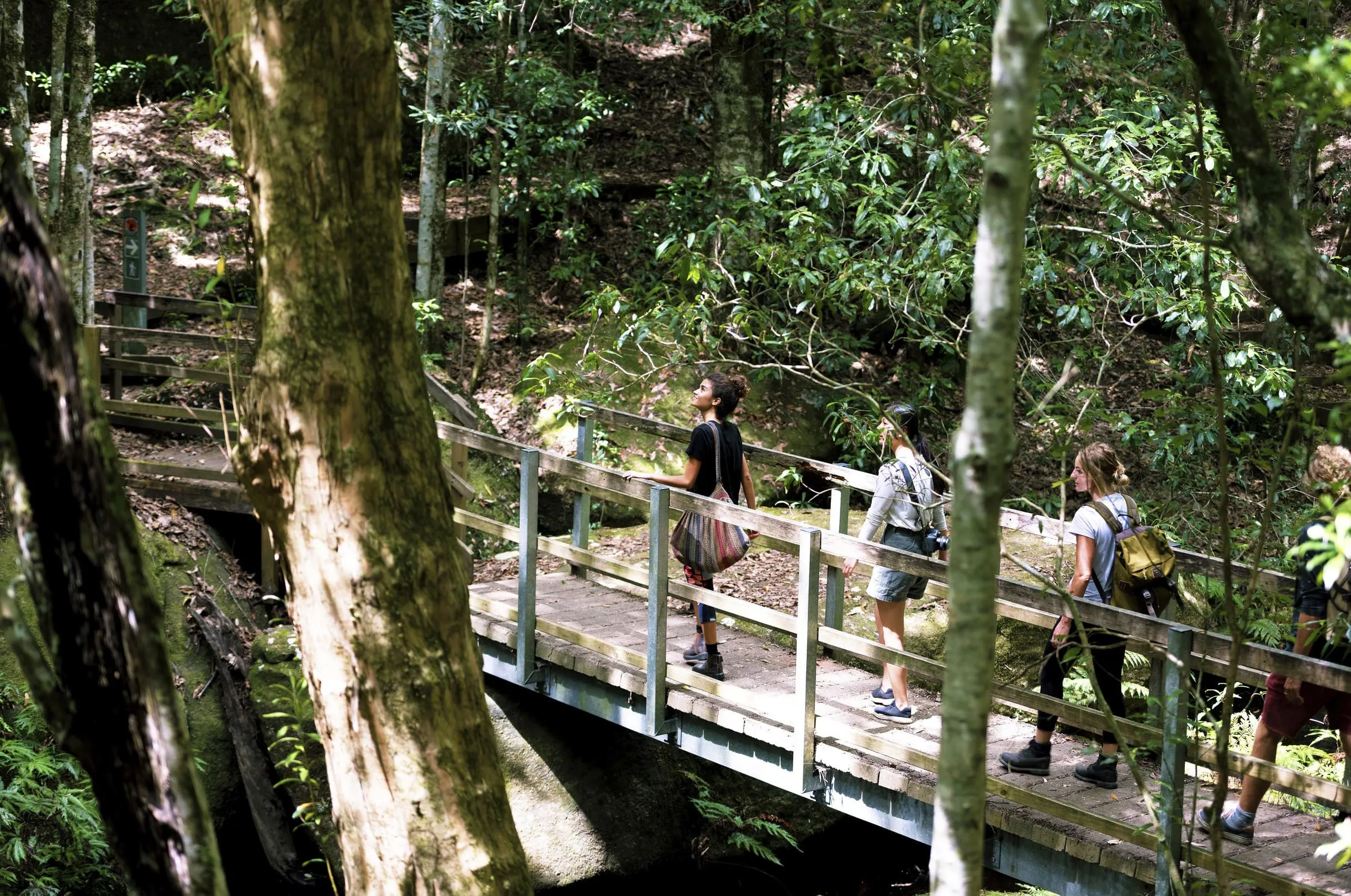 Explore the wilderness of Hunter Valley on foot