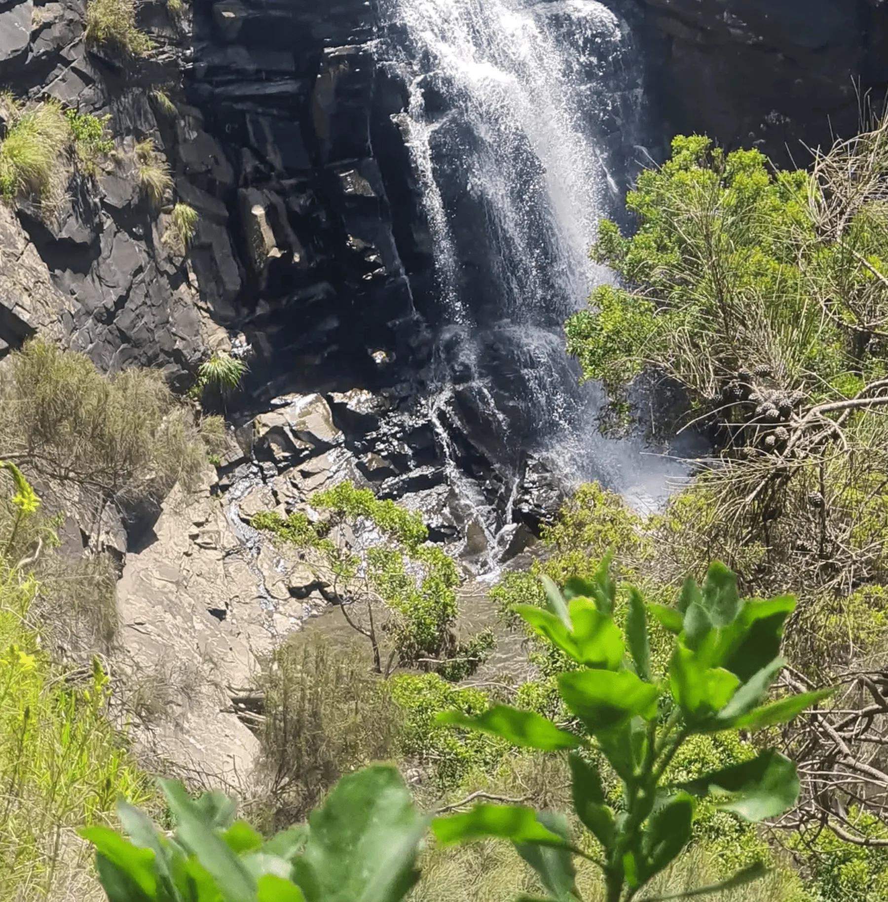 Exploring the Beauty of Falls
