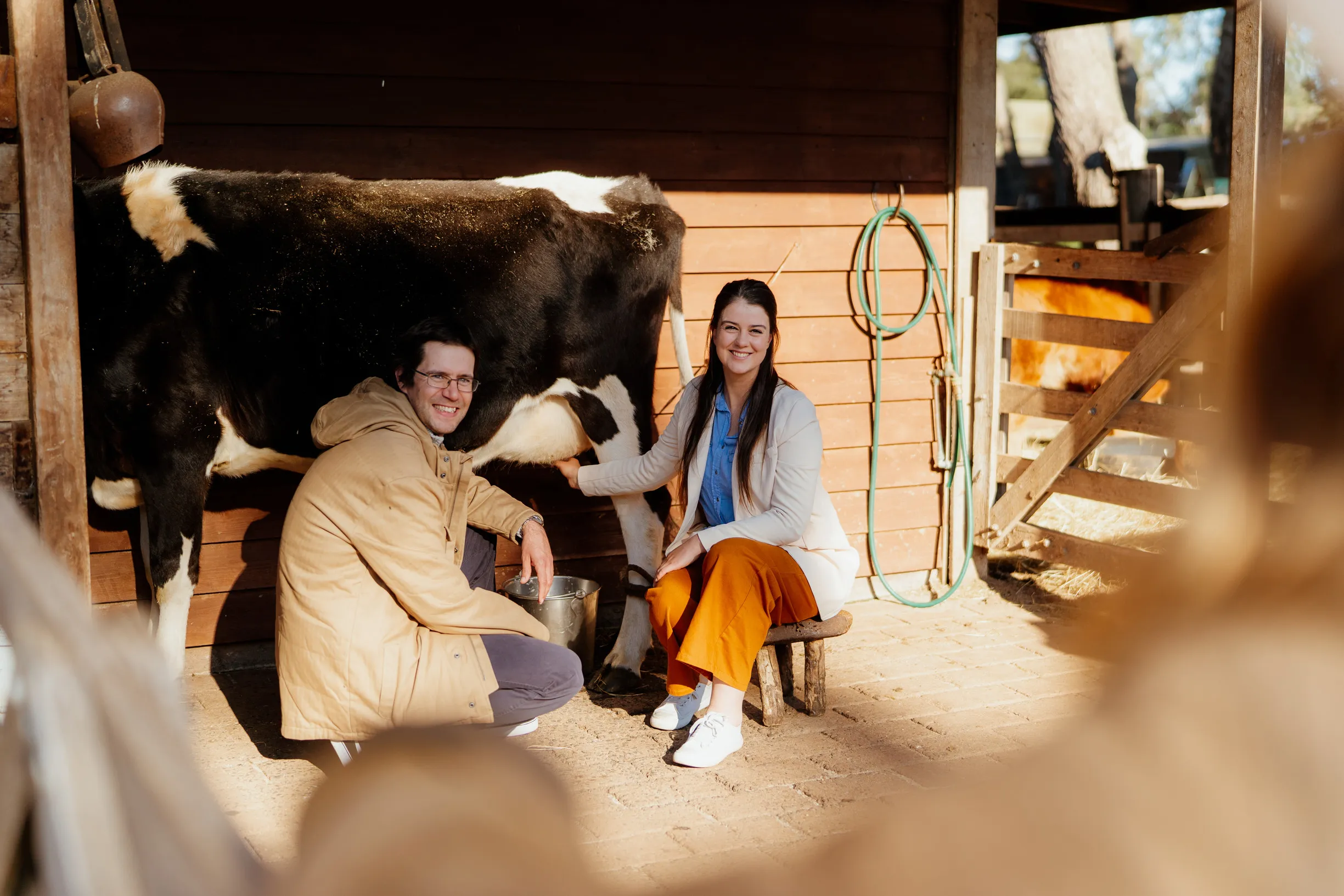 Farm Activities and Demonstrations