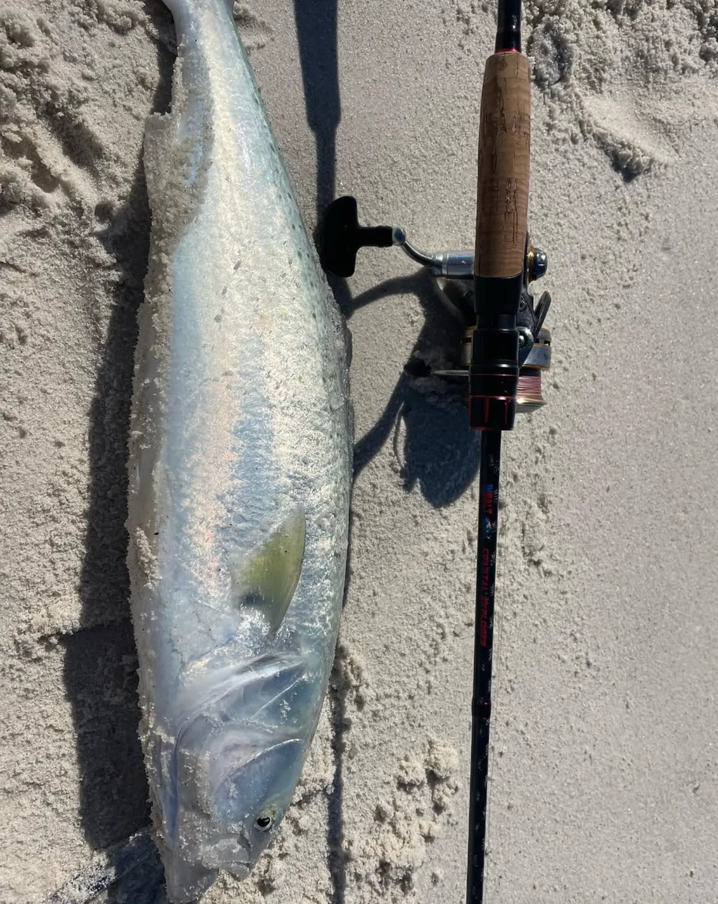 Fishing Seasons