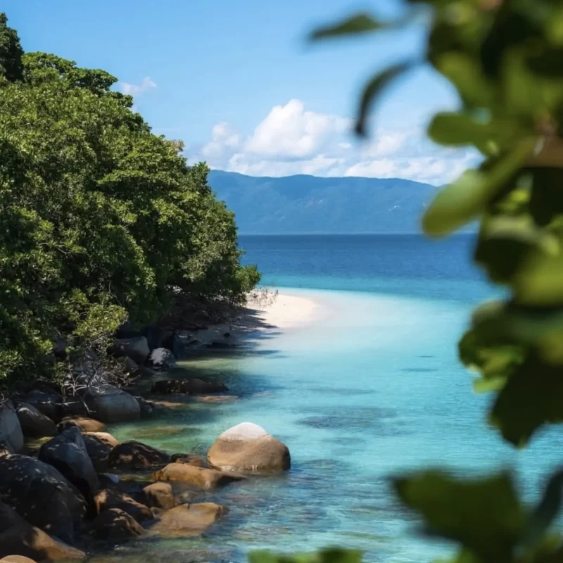 Fitzroy Island Rainforest Meets Reef