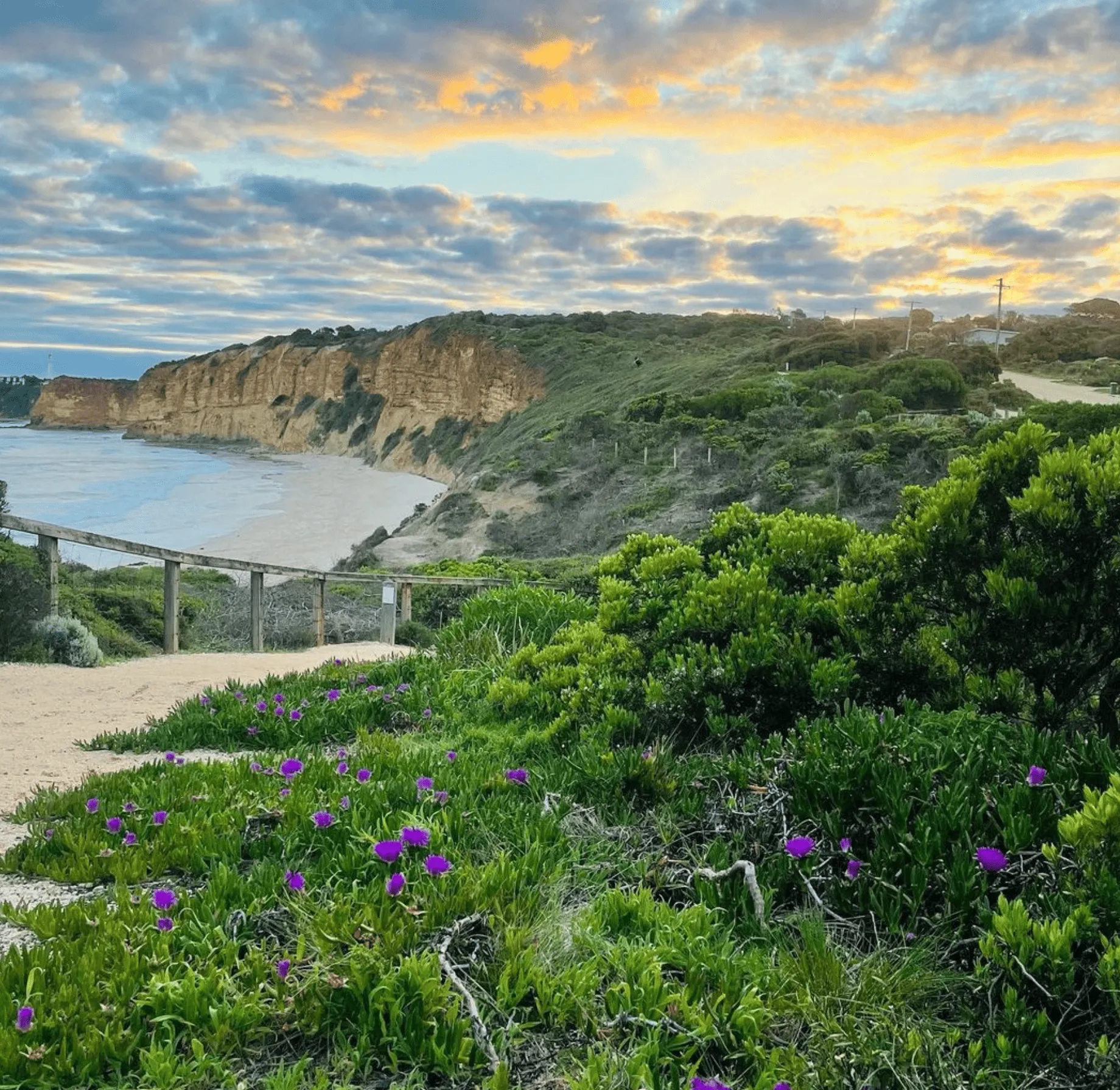 Flora and Fauna Surf Coast Walk