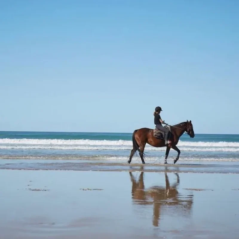 Go Horseback Riding Along the Beach Great Ocean Road