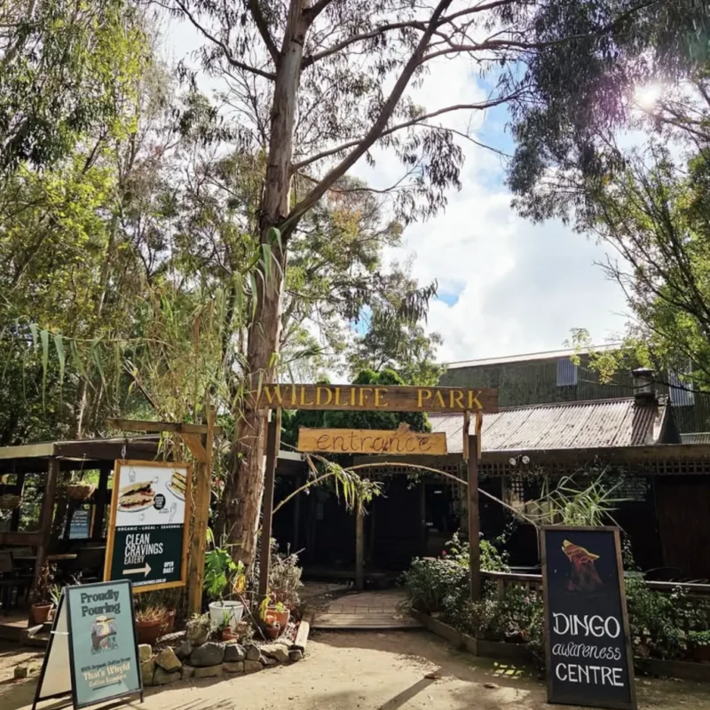 Great Ocean Road Wildlife Park