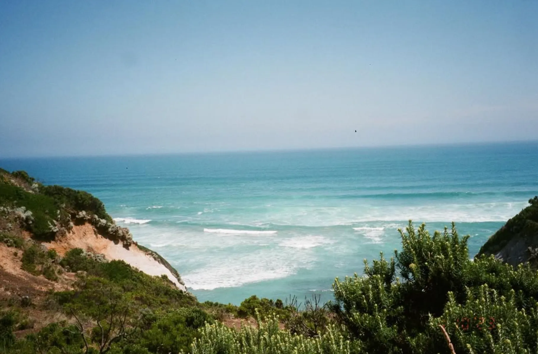 The Coast