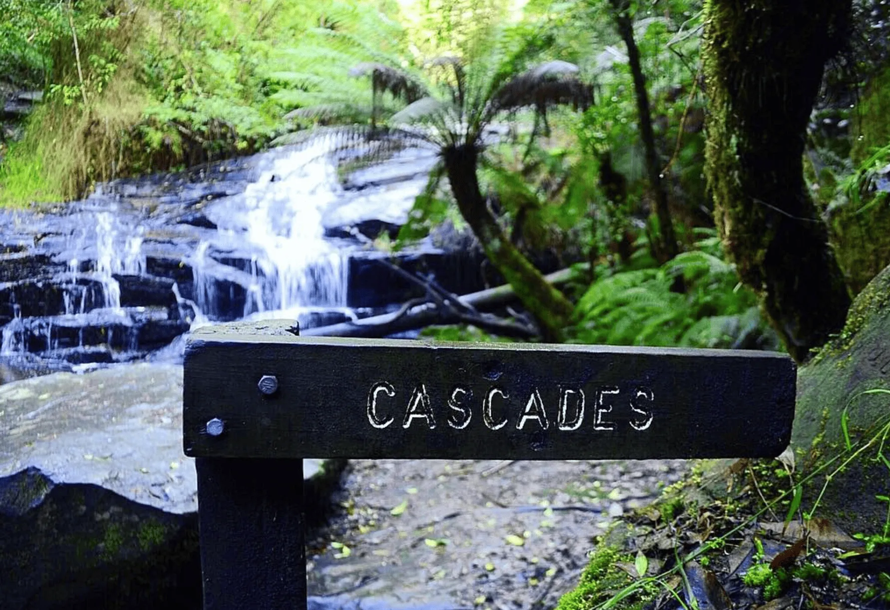 Hidden Trails and Scenic Wonders