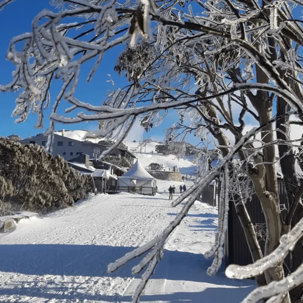 Hotham