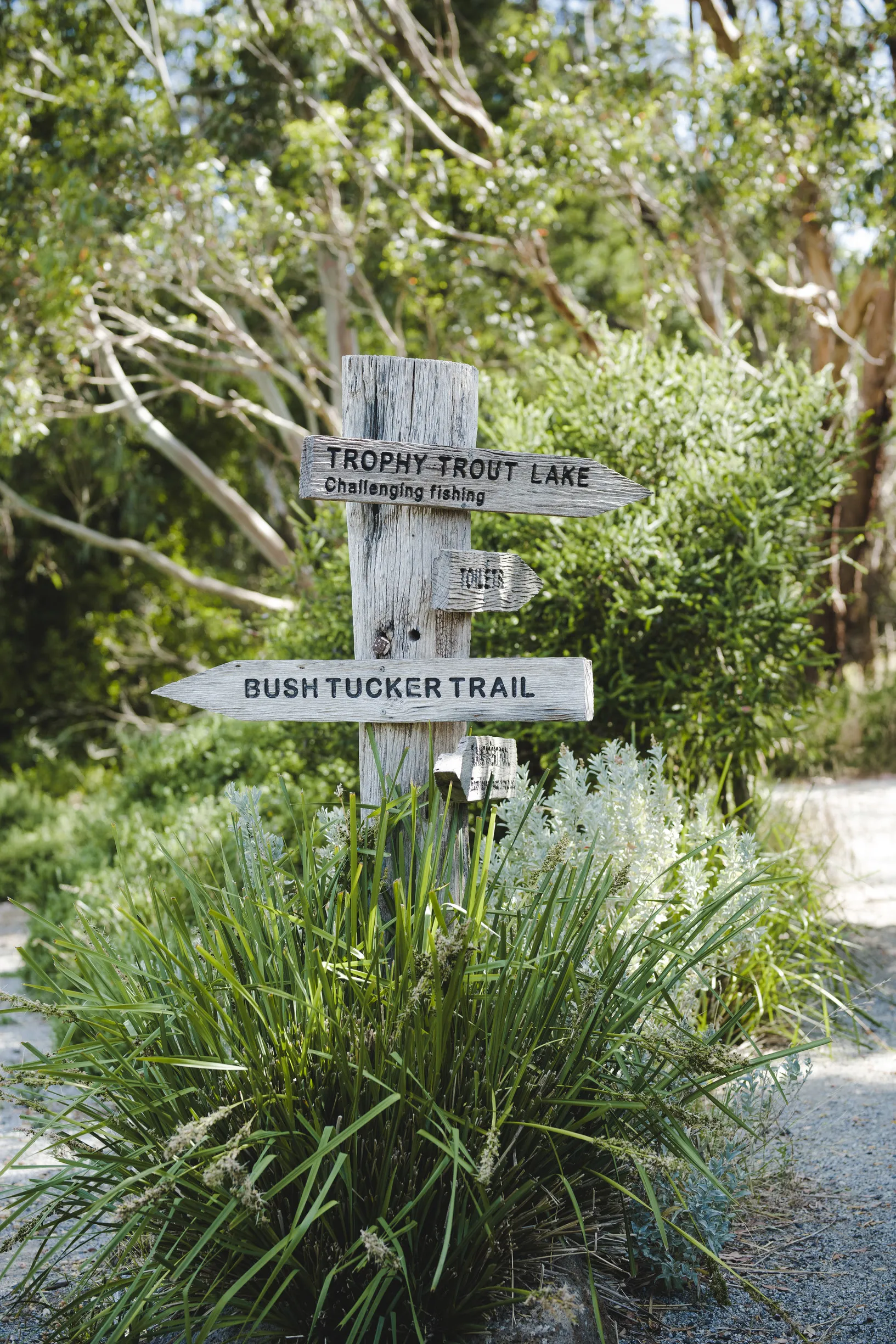 How to Get There Rhyll Trout & Bush Tucker Farm