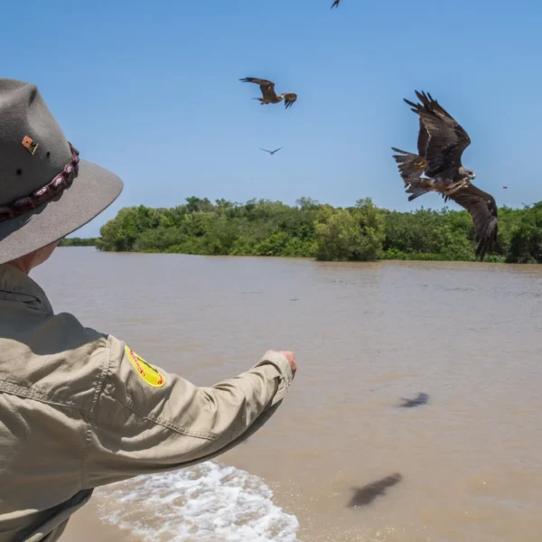 Jumping Crocs Tours