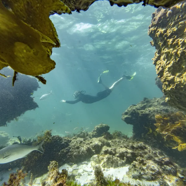 Jurien Bay tour