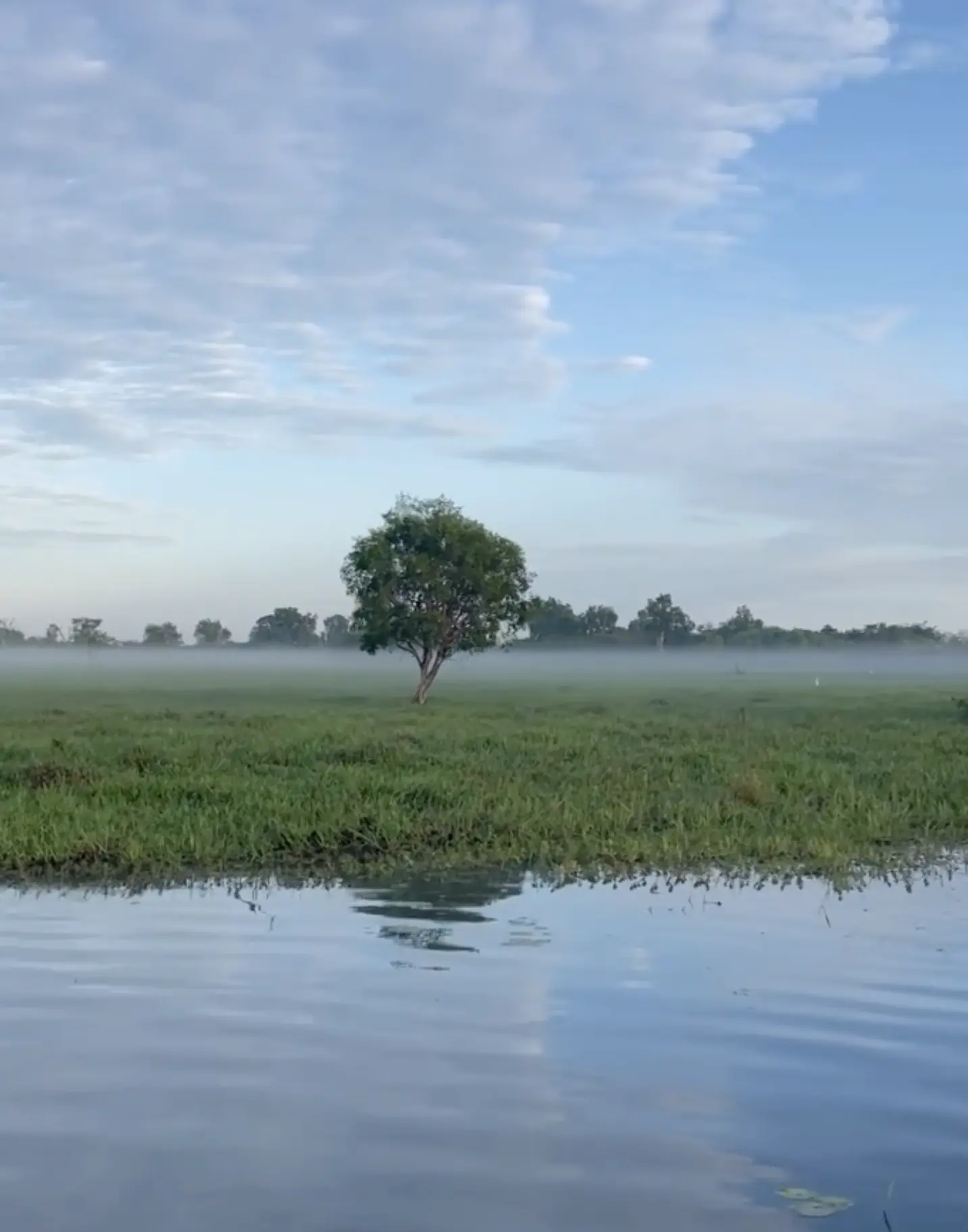 Kakadu’s Heartbeat