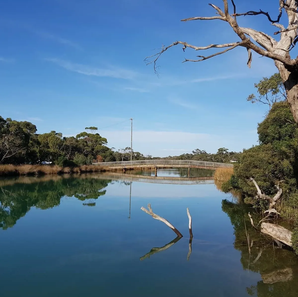 Kayaking on the Anglesea River