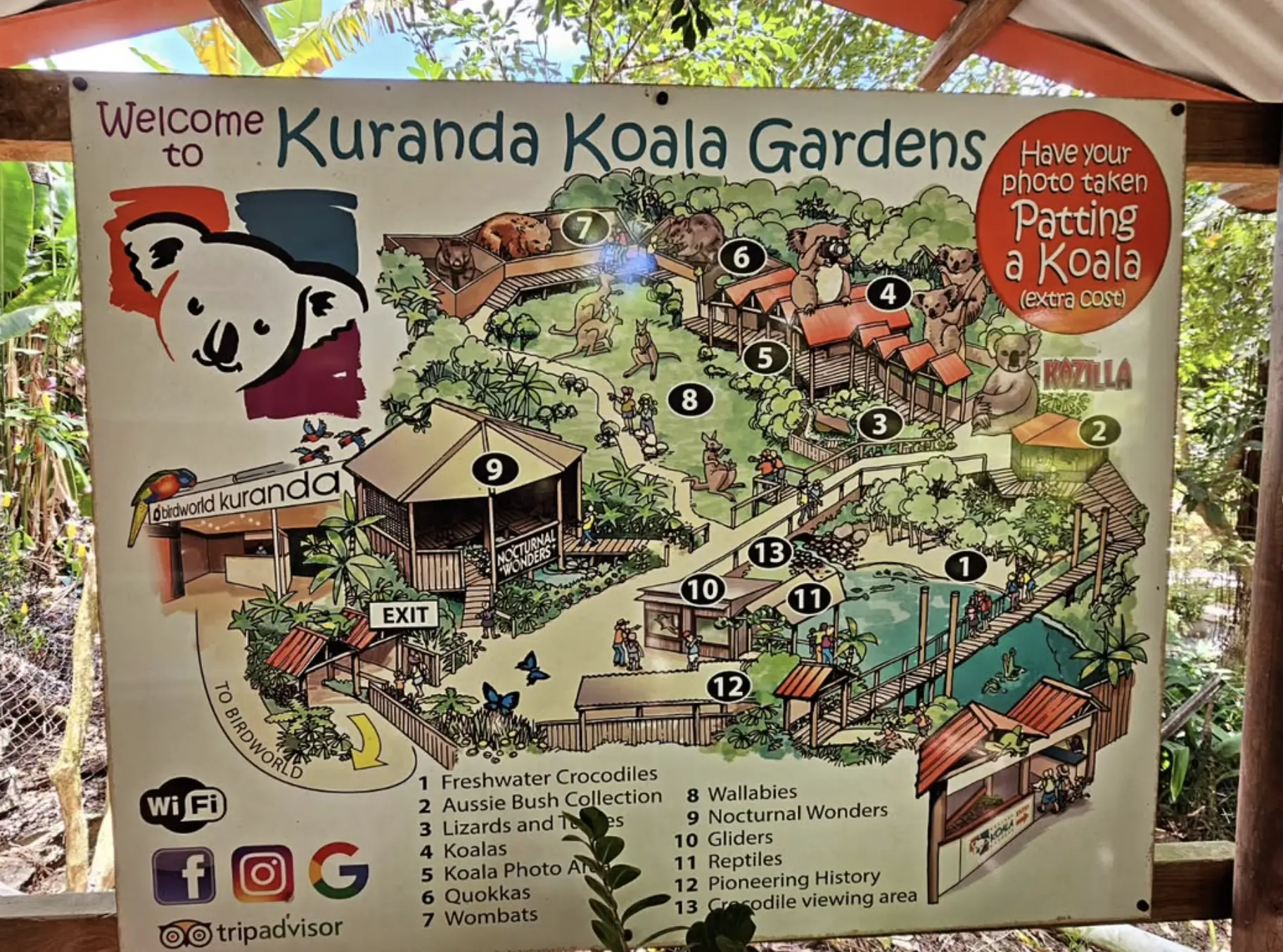 Koala Gardens Work Best For Families With Younger Kids