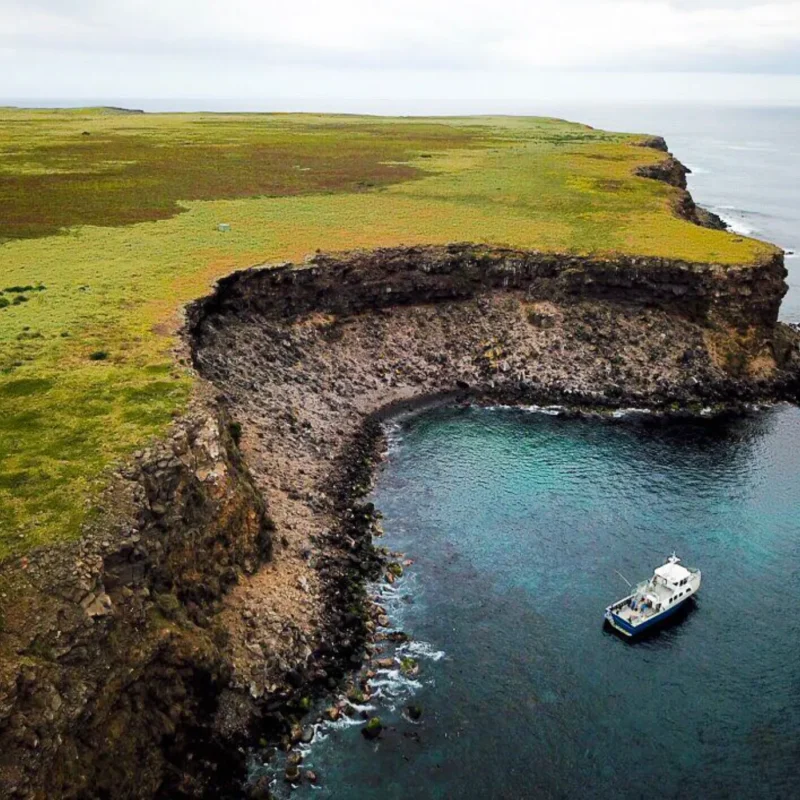 Lady Julia Percy Island