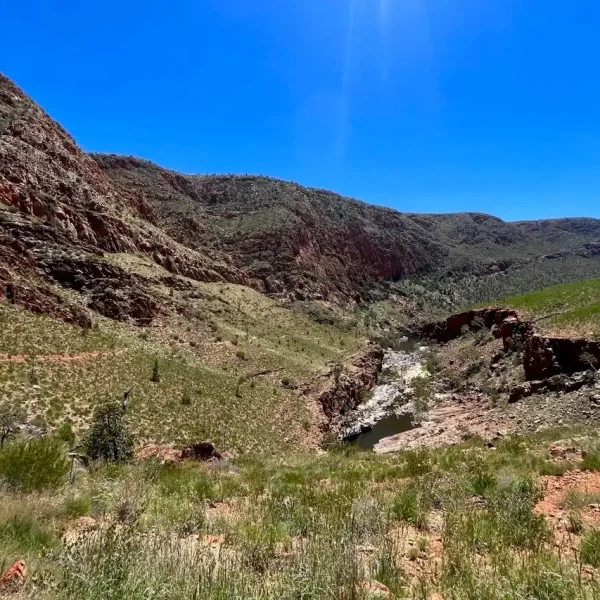 Larapinta Trail Country