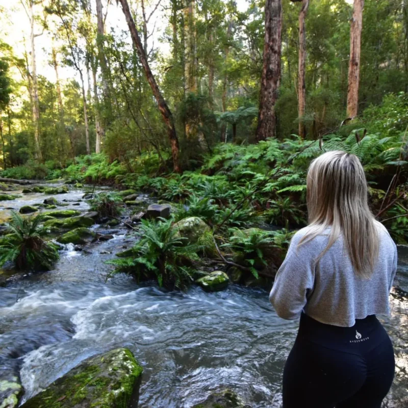 Lemonade Creek Track