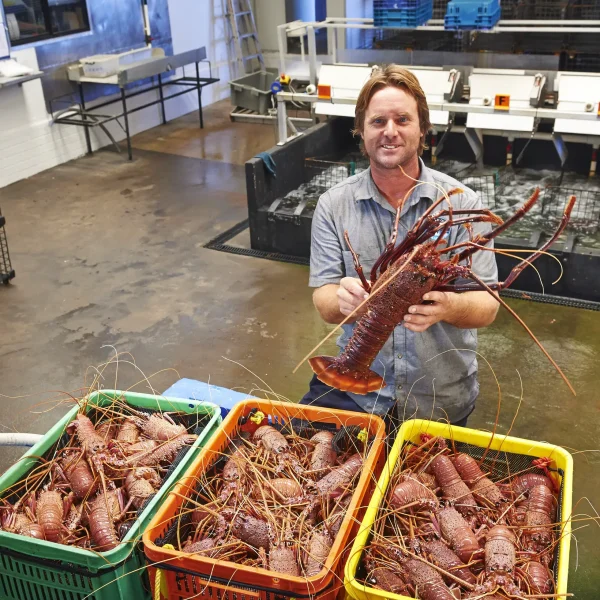 Lobster Lavender Tour