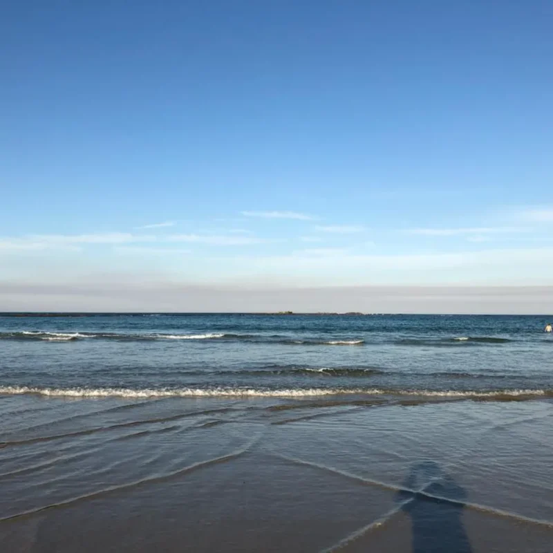 Marengo Reefs Marine Sanctuary