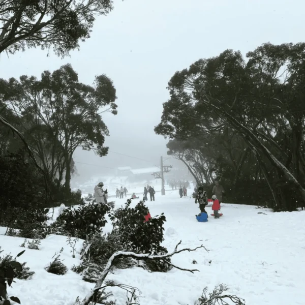 Mount Baw Baw