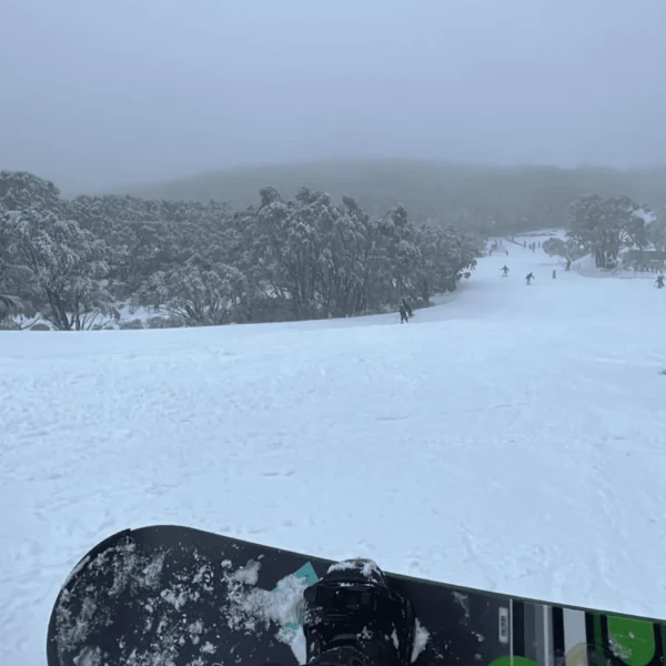 Mount Baw Baw tour