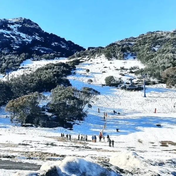 Mount Buffalo tour