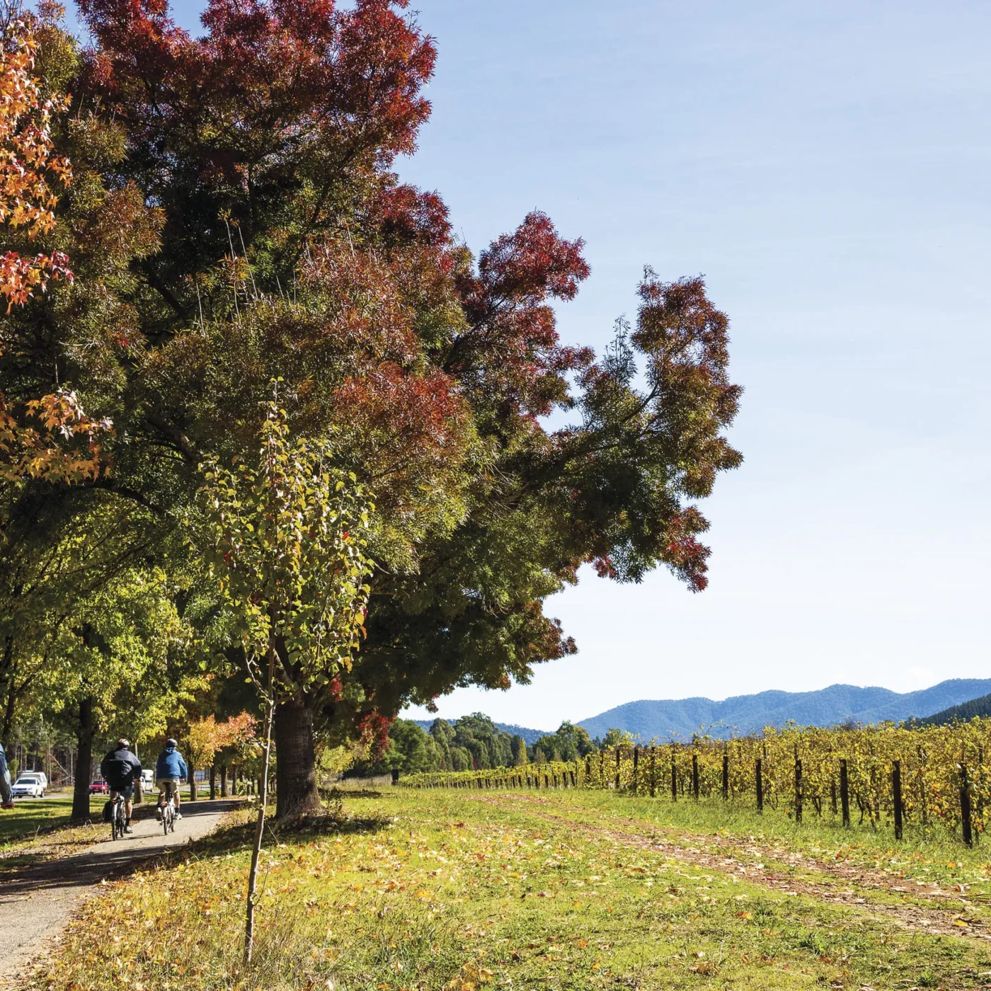 Murray to Mountains rail trail