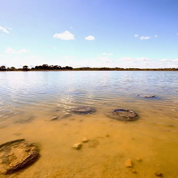 Nambung National Park Stromatolites Tour
