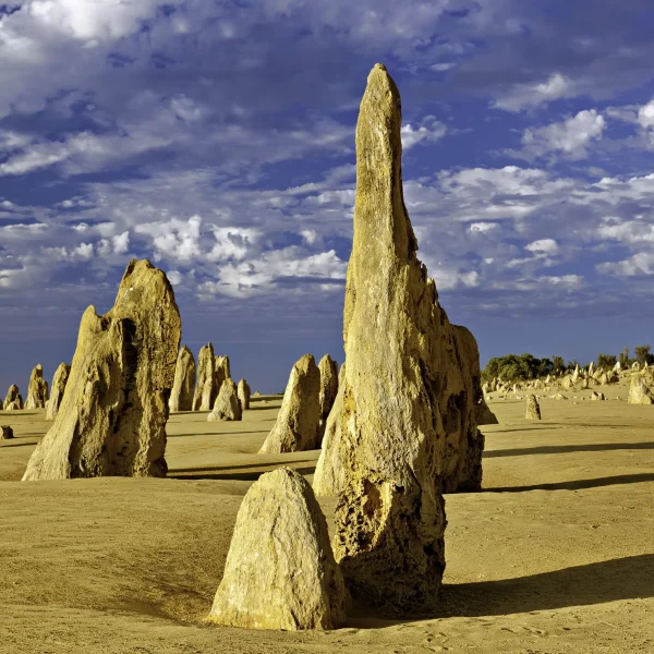 Nambung National Park Tourism Western Australia
