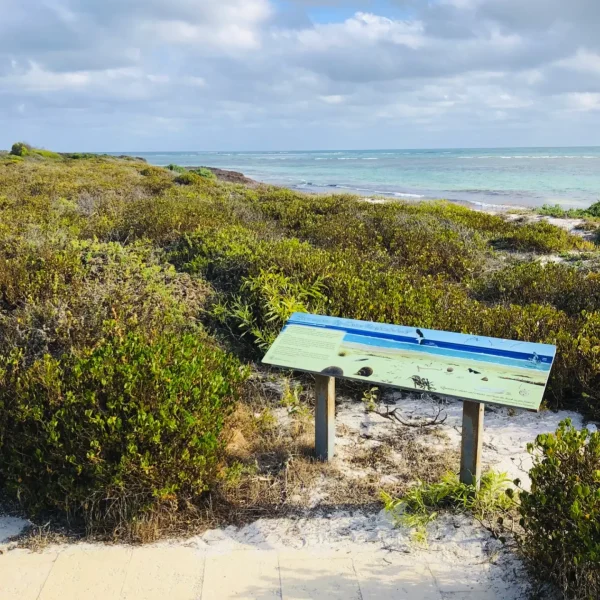 Nambung National Park and Foreshore