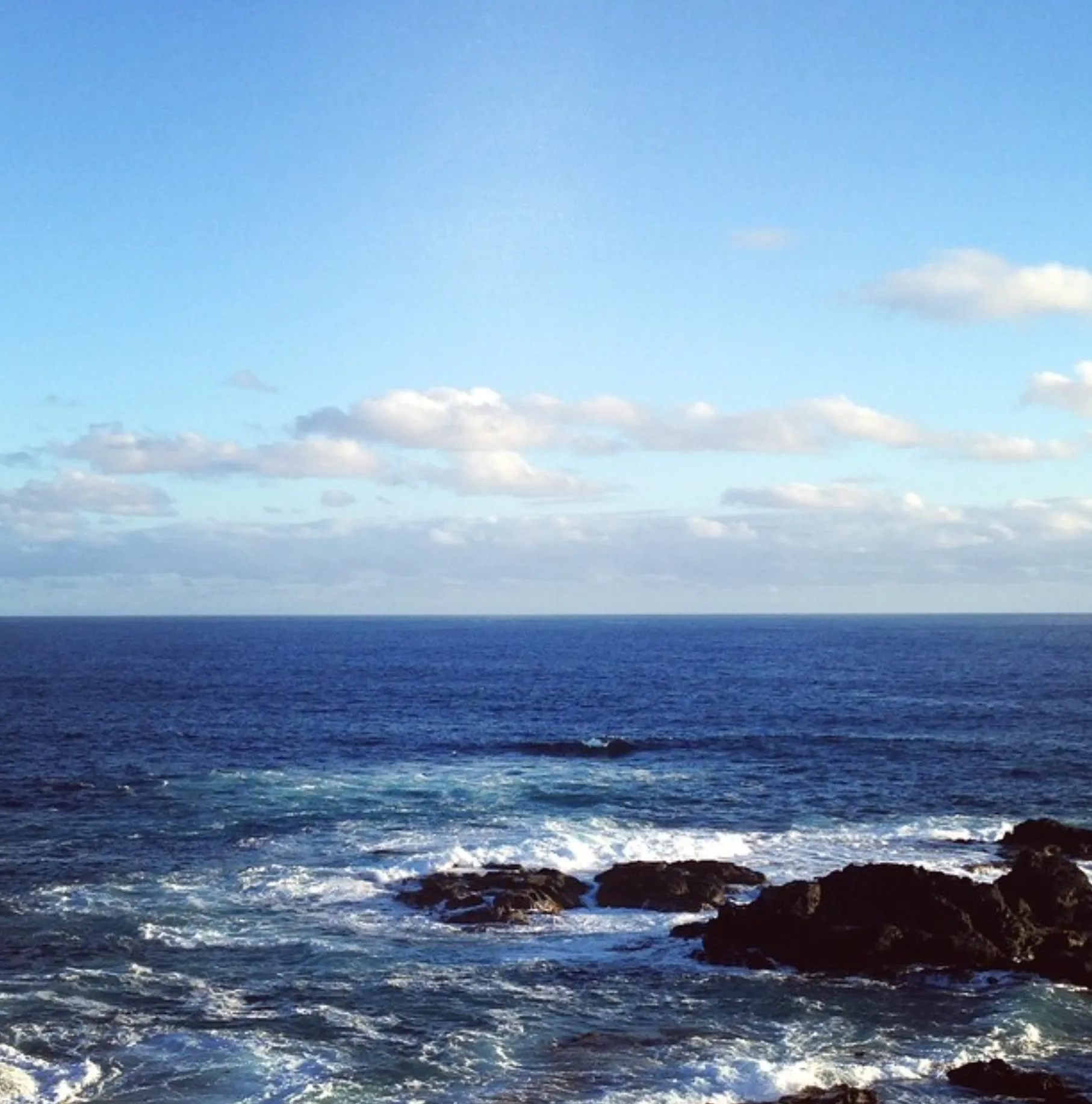 Nature Walks and Scenic Views