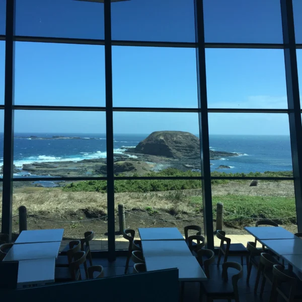 Nobbies Seals Centre 3