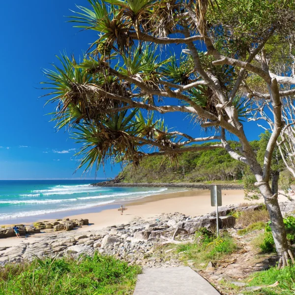 Noosa National Park tour