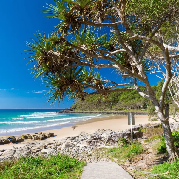 Noosa National Park tour