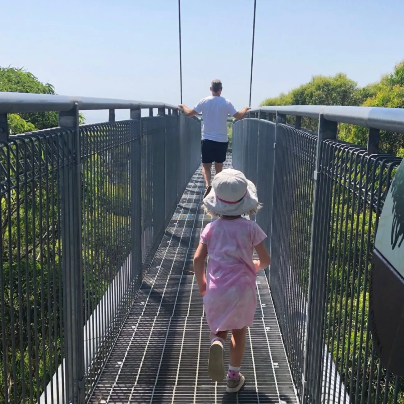 Otway Fly Treetop Adventures
