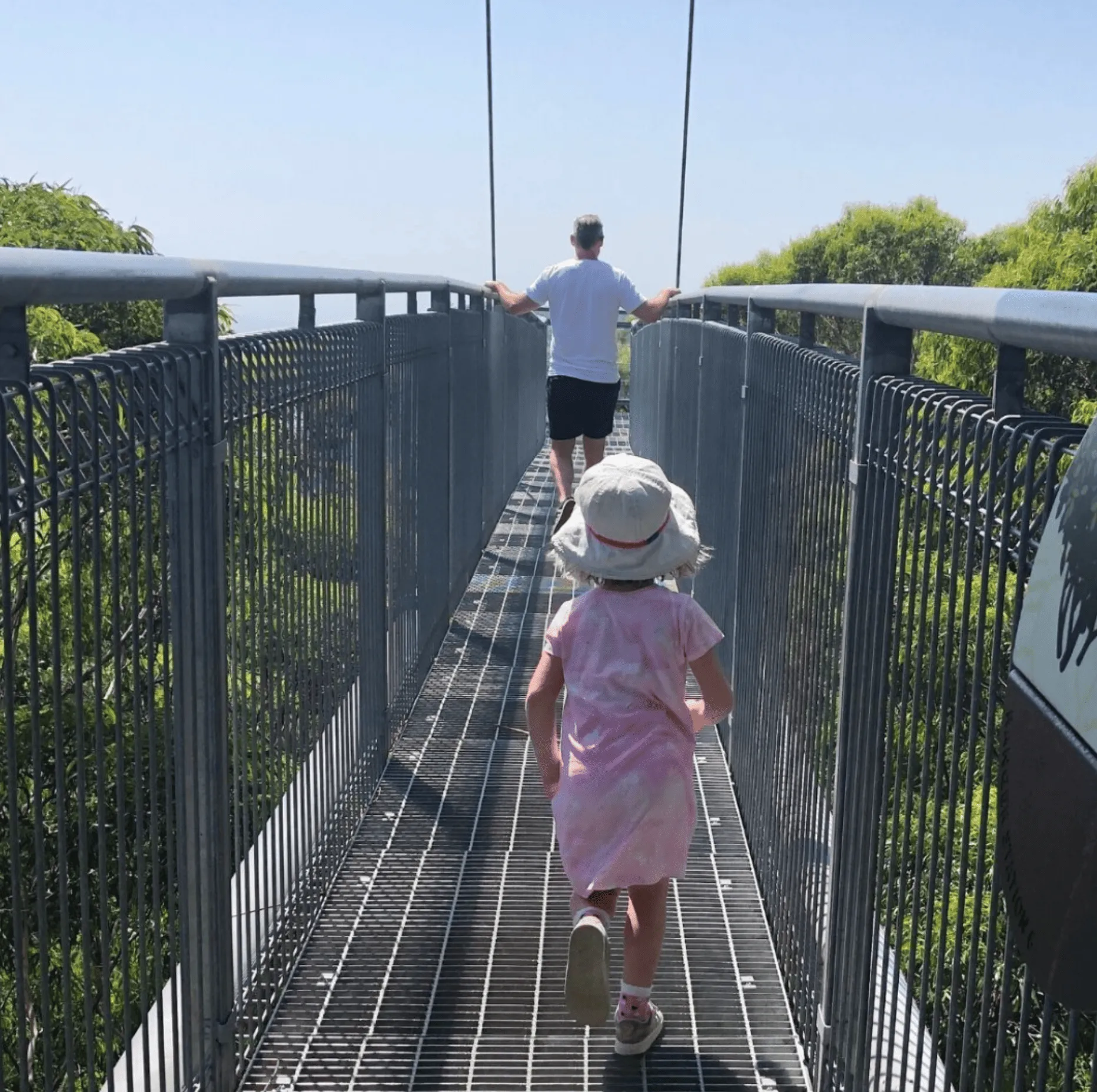 Otway Fly Treetop Adventures