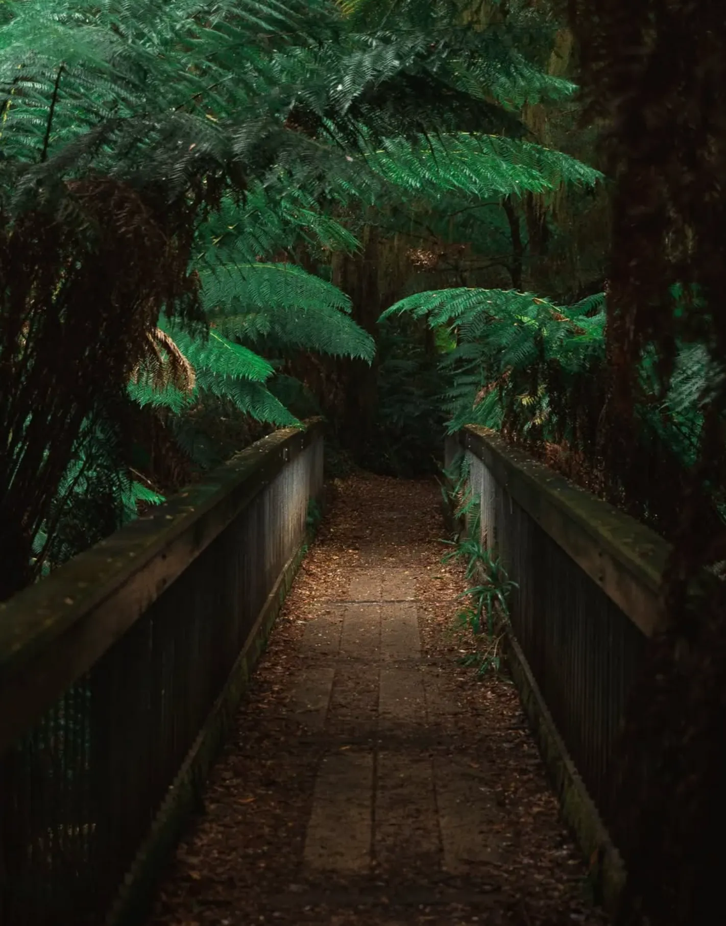 Otway National Park