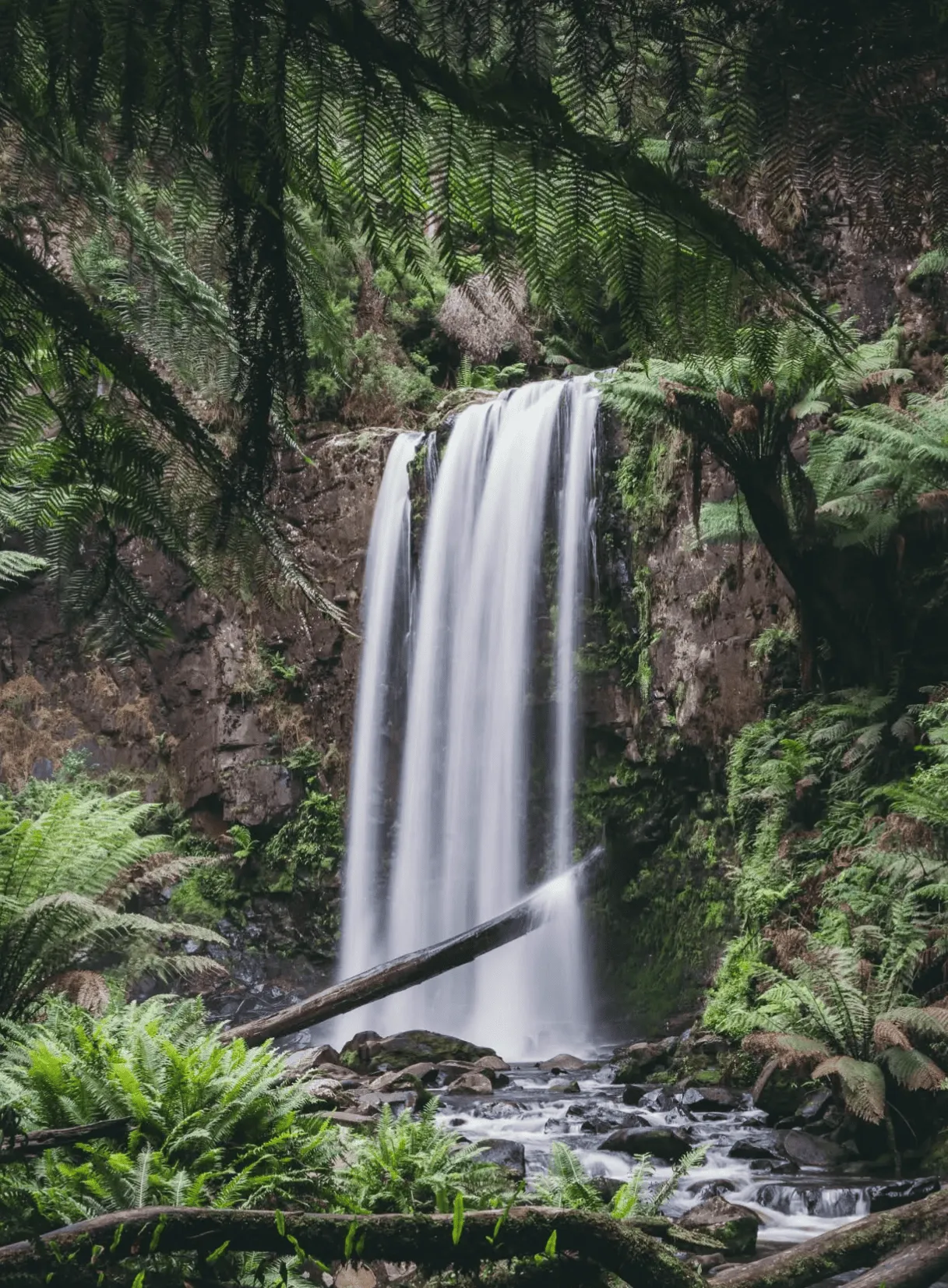Otway’s Hidden Gem