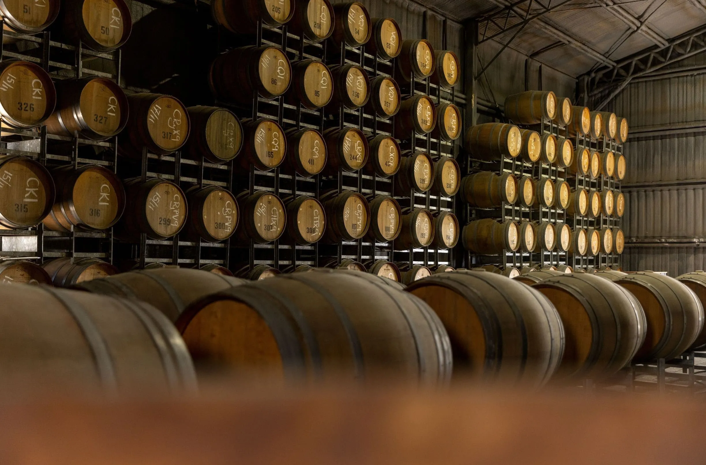 Participate in a Hunter Valley Grape Harvest