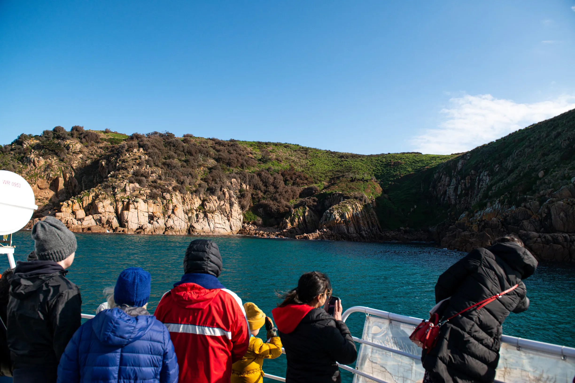 Phillip Island Seal Eco-Cruise