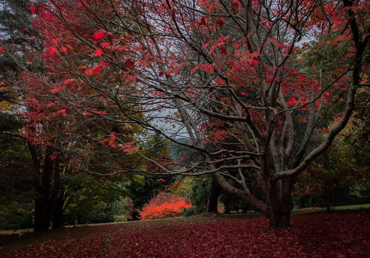 Pirianda Gardens