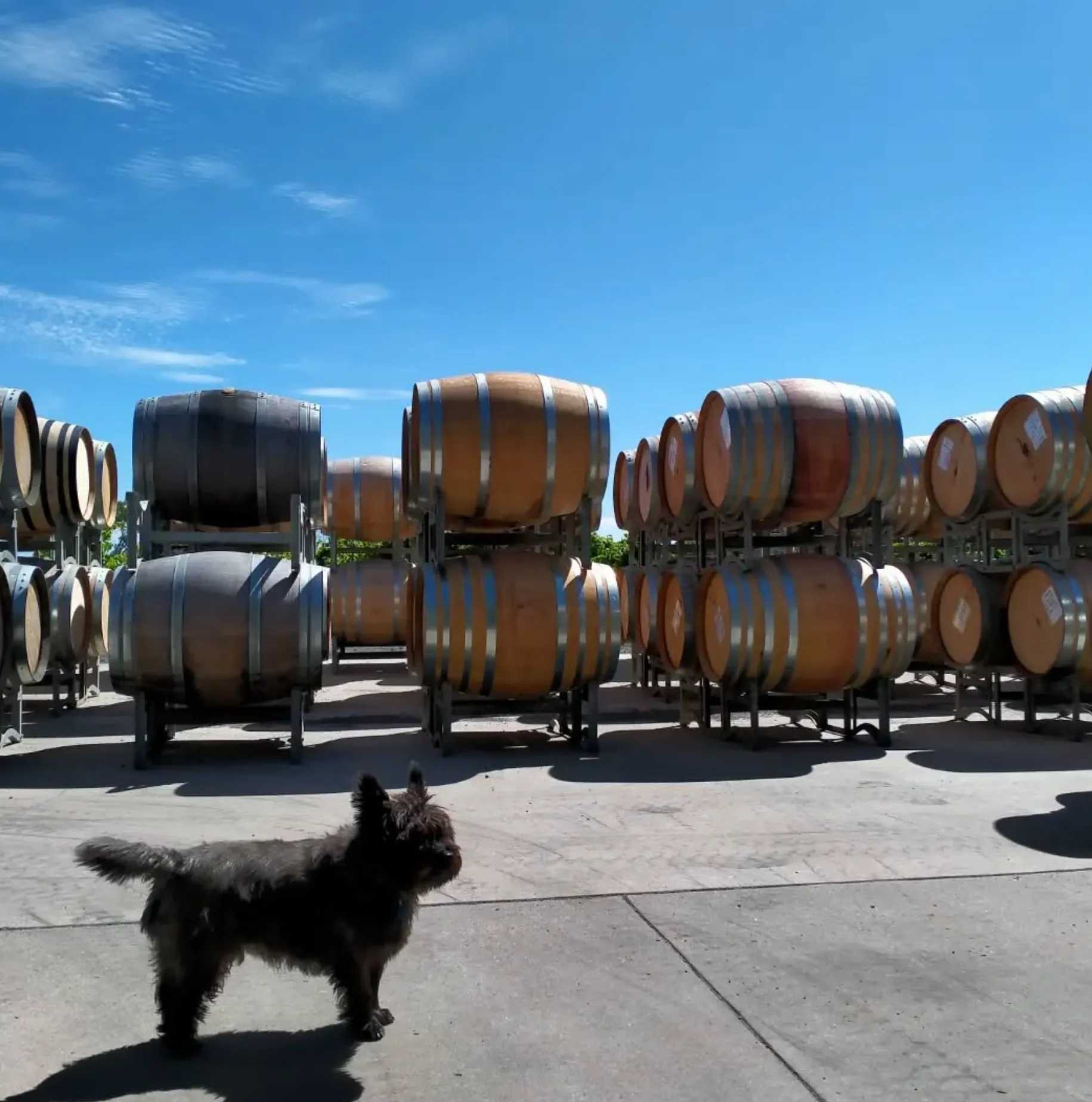Purple Hen Winery