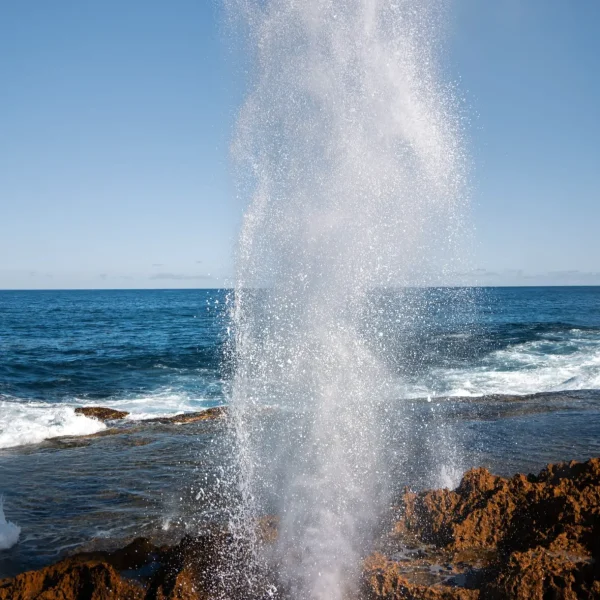 Quobba Blow Holes Tourism